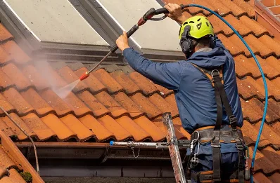 Démoussage et hydrofuge de toiture à Sainte-Barbe